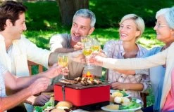 Barbacoa Portatil Sin Humo Vesubio Gris -Utensilios De Cocina Barbacoa Portatil Sin Humo Vesubio Gris 16